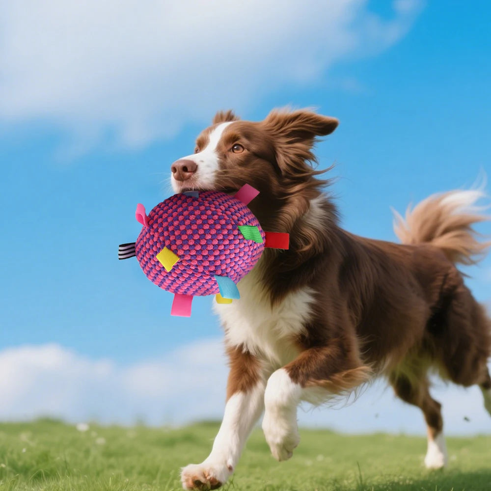 Interactive Dog Chew Ball - Fun & Durable Toy