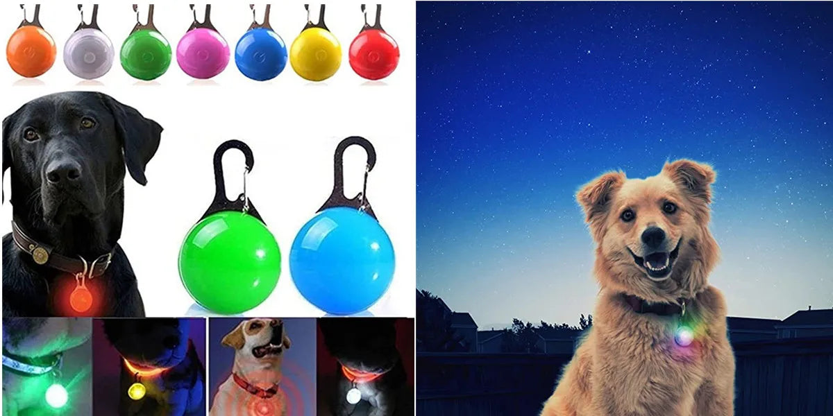New Led Luminous Dog Collar PVC Waterproof , For Large Medium Small Dogs Collar Usb Light Night Safety Pet Glowing Accessories