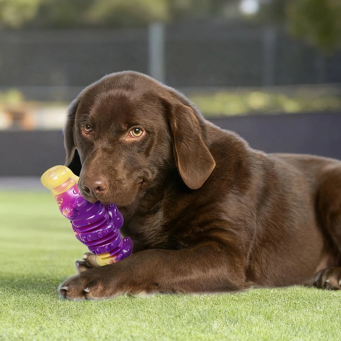 Dog Dental Toy Animal Shaped Dog Teething Toy Teeth Cleaning Toy for Large Medium Breed