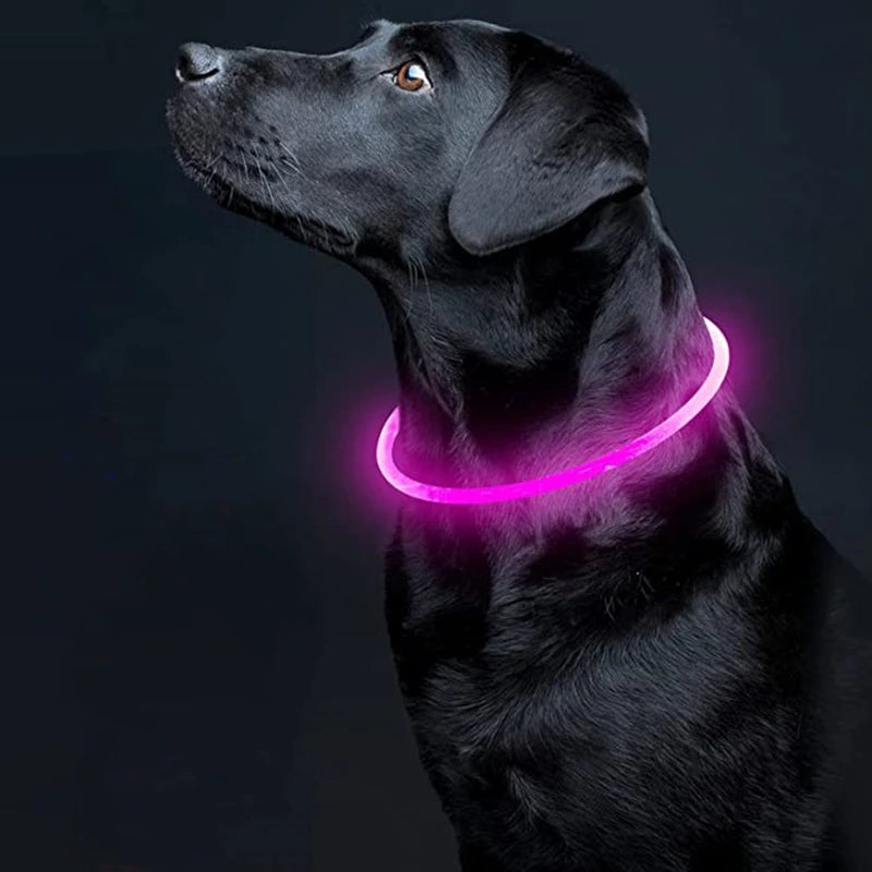 Led Usb Dog Collar Pet Dog Night Luminous Charge Collar Led Night Safety Flashing Glow Dog Loss Prevention Collar Pet Accessorie