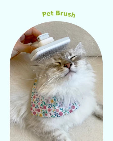 Pecute Self-Cleaning Slicker Brush for Dogs Cats Lightweight Brush for Shedding Massaging Grooming Brush Gently Removes