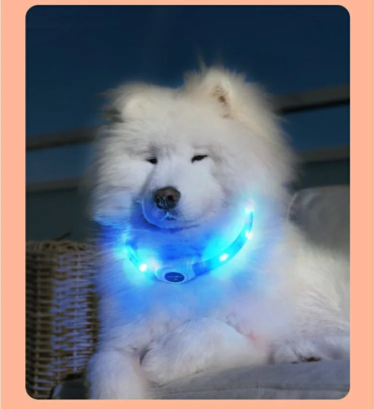 New Led Luminous Dog Collar PVC Waterproof , For Large Medium Small Dogs Collar Usb Light Night Safety Pet Glowing Accessories