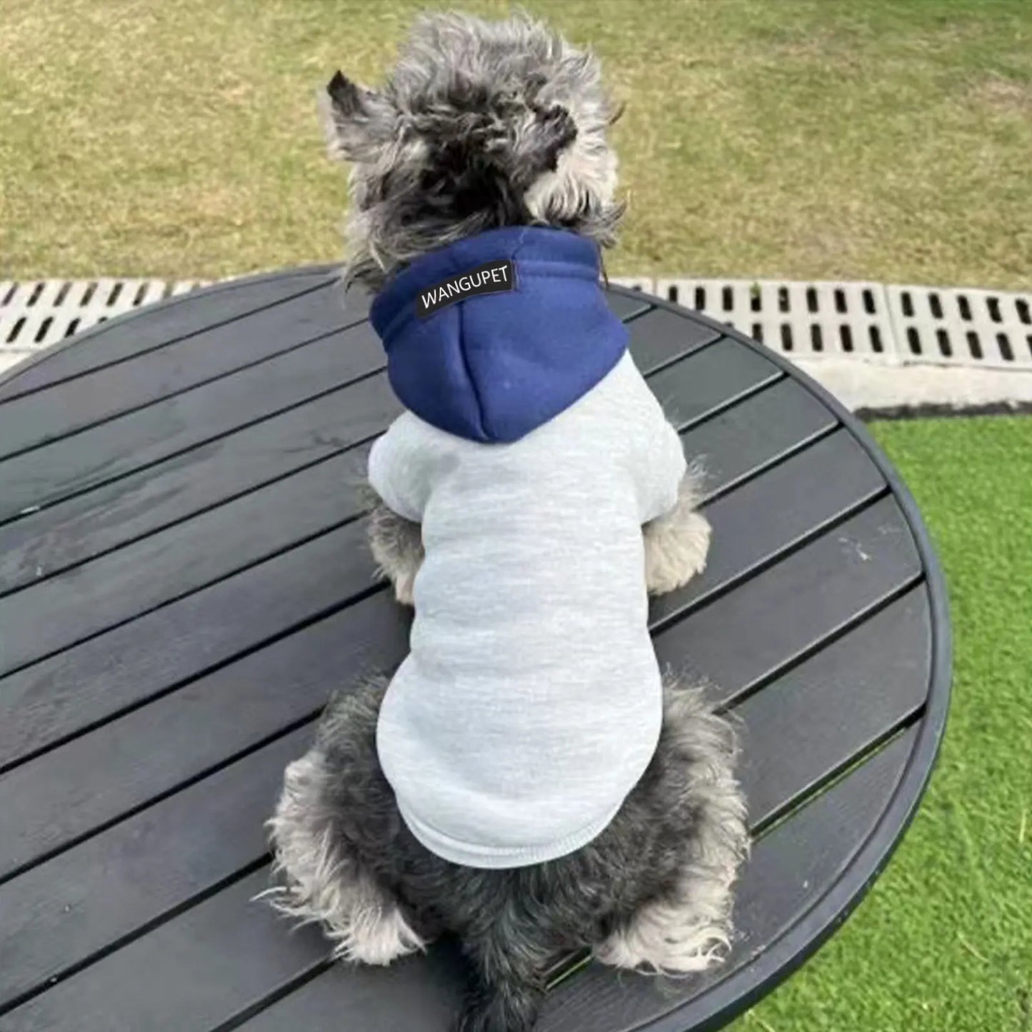Fashion Dog Hoodie Winter Warm Cat Dog Clothes Soft Sweatshirt Small Medium Dogs Coat Cold Weather Pet Clothing Chihuahua Pug