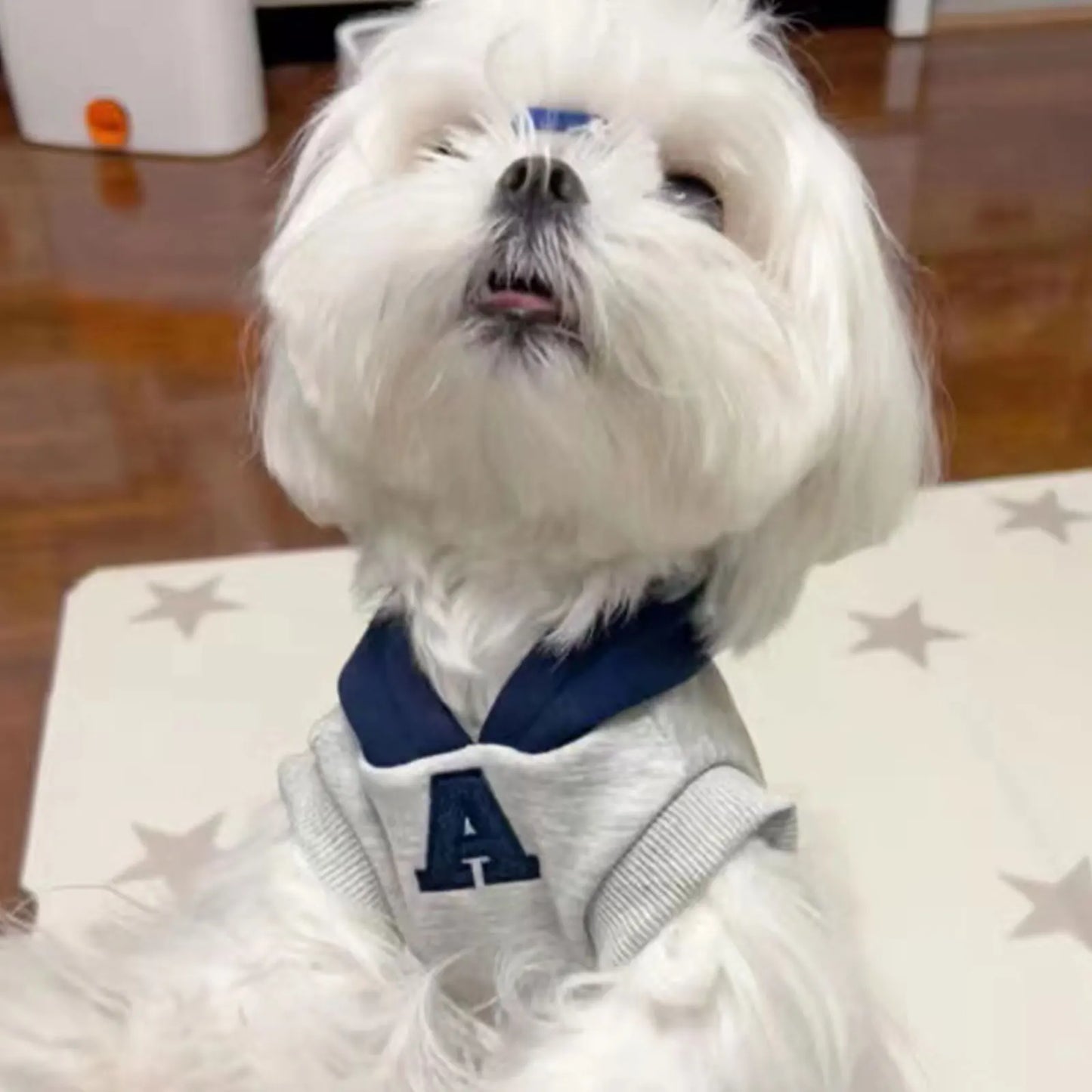 Fashion Dog Hoodie Winter Warm Cat Dog Clothes Soft Sweatshirt Small Medium Dogs Coat Cold Weather Pet Clothing Chihuahua Pug