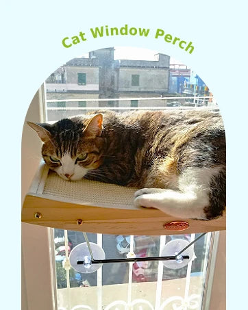 Pecute Self-Cleaning Slicker Brush for Dogs Cats Lightweight Brush for Shedding Massaging Grooming Brush Gently Removes