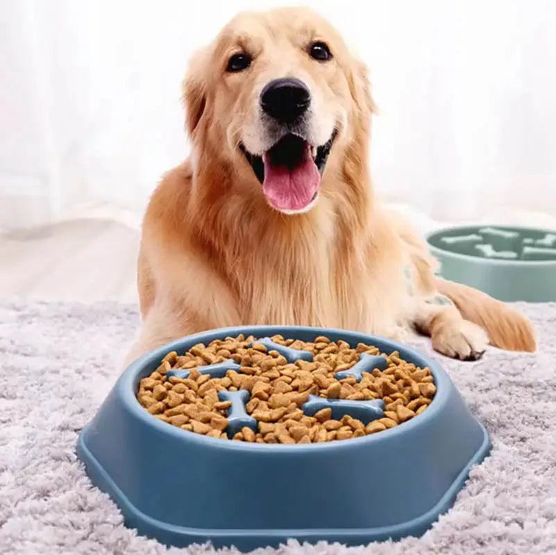 Dog slow food bowl dog bowl dog bowl anti-slip anti-choking anti-vomiting pet feeding bowl small dog food bowl cat bowl
