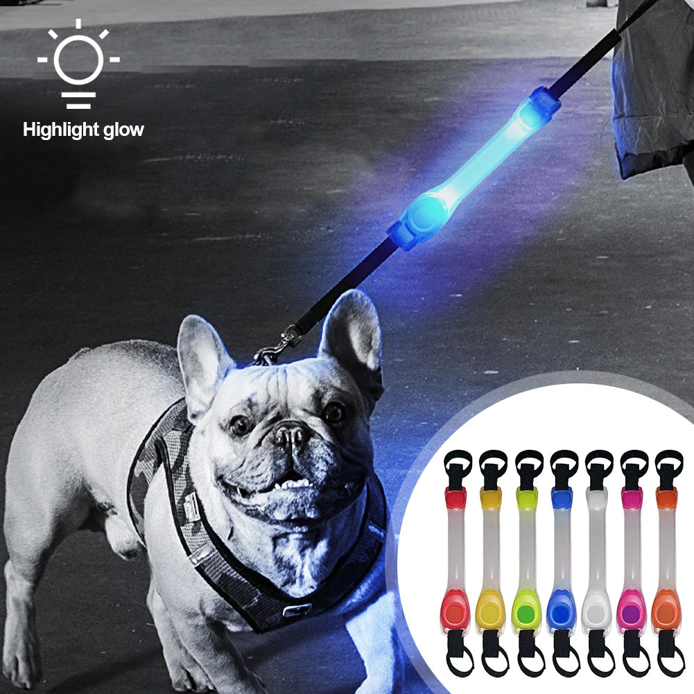 Dog Glowing Collar & Leash Anti Lost Safety Outdoor Waterproof Warning LED Flashing Light Strip Pet Harness Dog Accessories