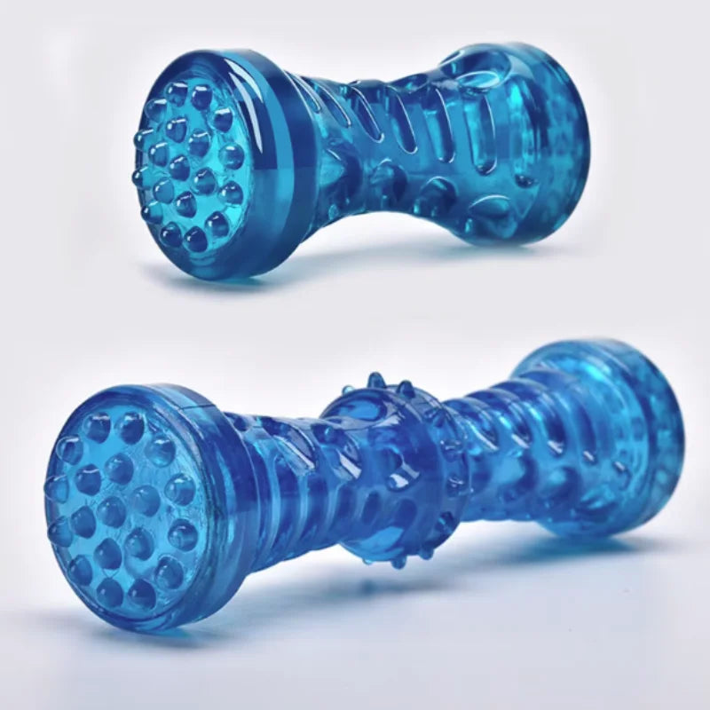 Bite Resistant Dog Toy Toothbrush Bone Sturdy Interactive Puppy Chew Dental Care for Small Medium Large Dogs