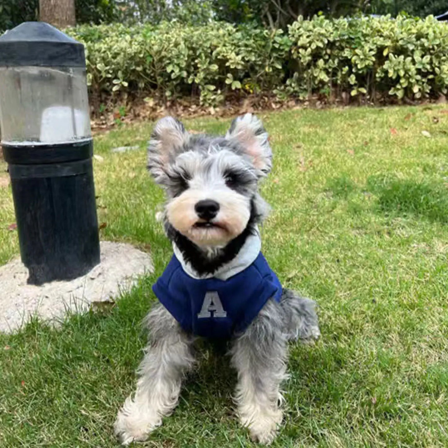 Fashion Dog Hoodie Winter Warm Cat Dog Clothes Soft Sweatshirt Small Medium Dogs Coat Cold Weather Pet Clothing Chihuahua Pug