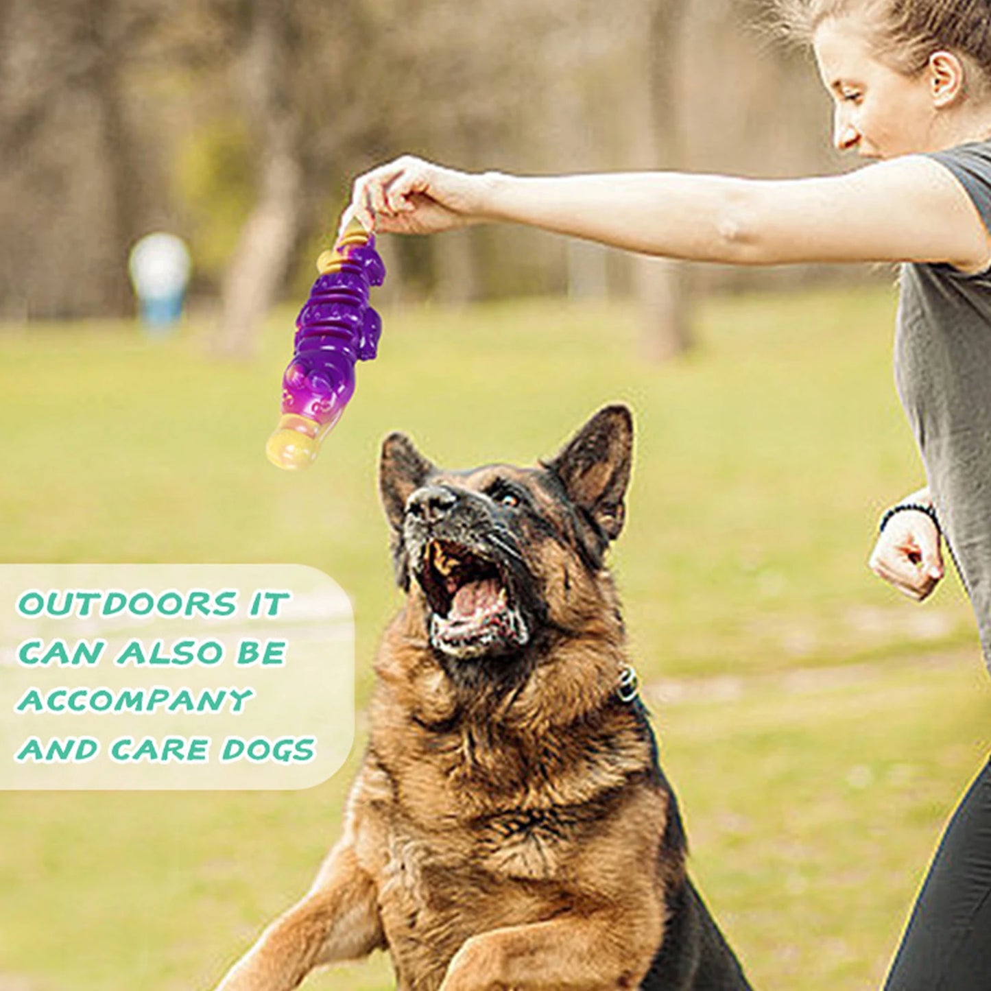 Dog Dental Toy Animal Shaped Dog Teething Toy Teeth Cleaning Toy for Large Medium Breed