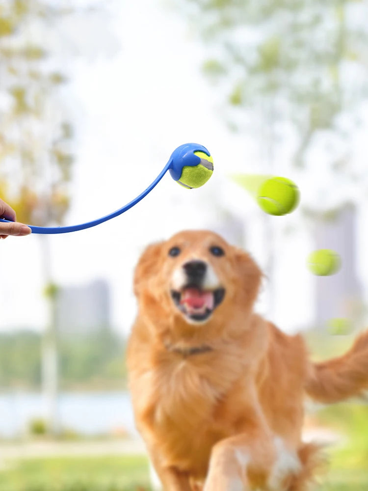 Pet Throwing Stick Toy - Interactive Ball Launcher for Dogs Cats Training, Fetch Game with Rubber Balls