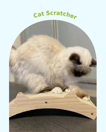 Pecute Self-Cleaning Slicker Brush for Dogs Cats Lightweight Brush for Shedding Massaging Grooming Brush Gently Removes