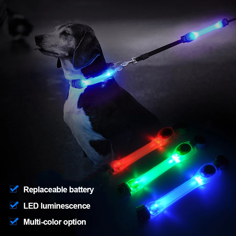 Dog Glowing Collar & Leash Anti Lost Safety Outdoor Waterproof Warning LED Flashing Light Strip Pet Harness Dog Accessories