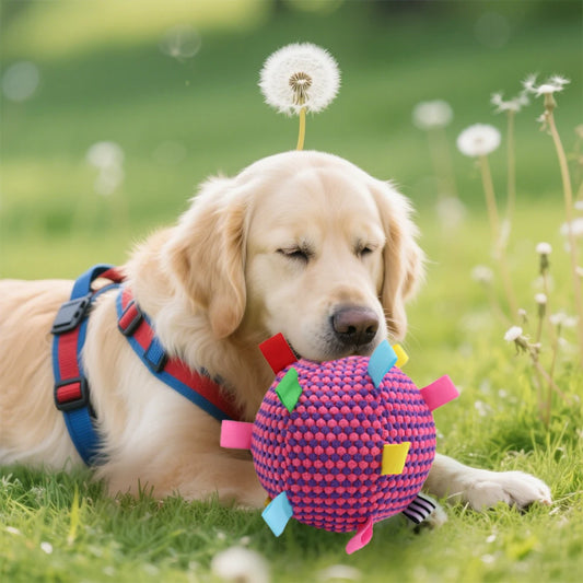 Interactive Dog Chew Ball - Fun & Durable Toy