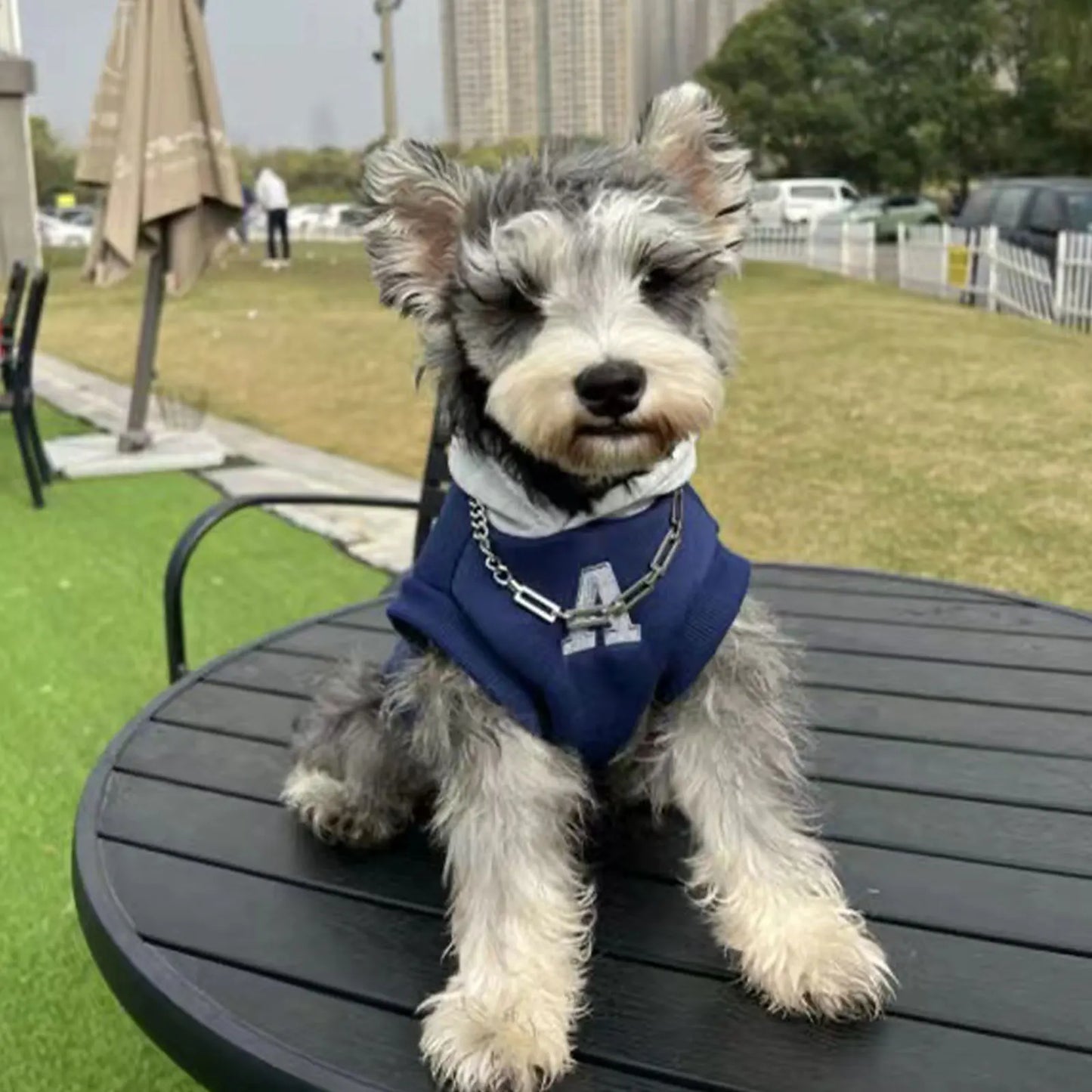 Fashion Dog Hoodie Winter Warm Cat Dog Clothes Soft Sweatshirt Small Medium Dogs Coat Cold Weather Pet Clothing Chihuahua Pug