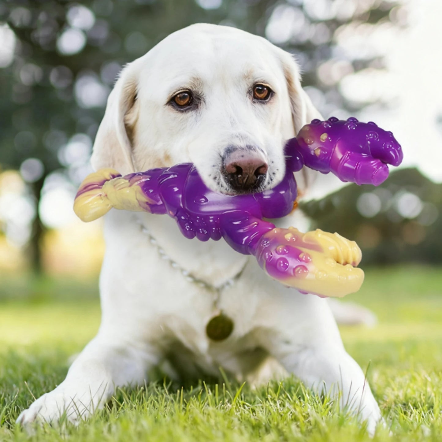 Dog Dental Toy Animal Shaped Dog Teething Toy Teeth Cleaning Toy for Large Medium Breed