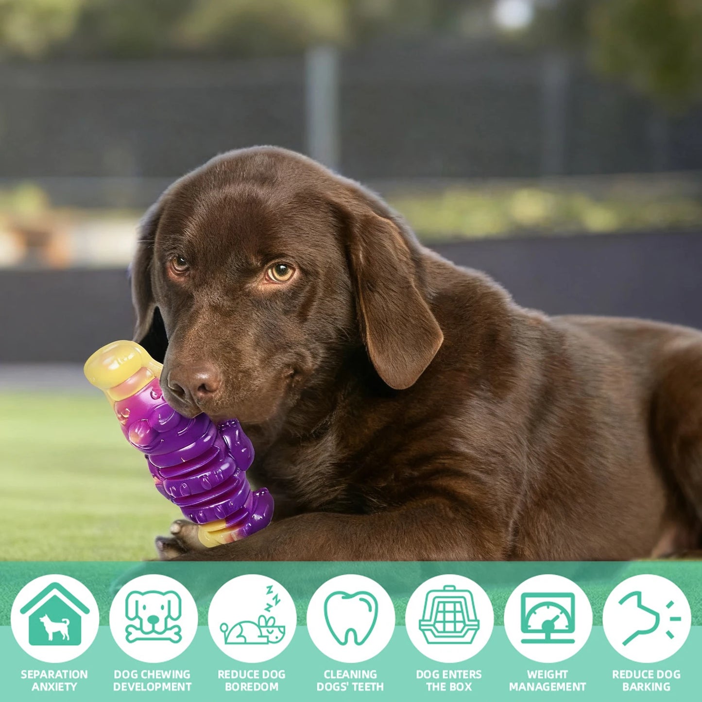 Dog Dental Toy Animal Shaped Dog Teething Toy Teeth Cleaning Toy for Large Medium Breed