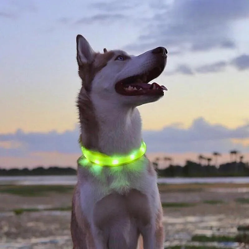 New Led Luminous Dog Collar PVC Waterproof , For Large Medium Small Dogs Collar Usb Light Night Safety Pet Glowing Accessories
